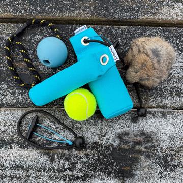 Hvalpestartsæt BLÅ (begrænset antal)